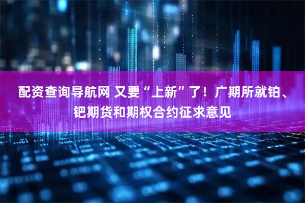 配资查询导航网 又要“上新”了！广期所就铂、钯期货和期权合约征求意见
