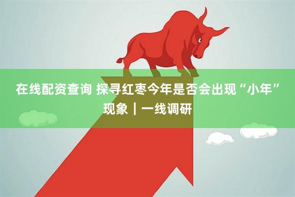在线配资查询 探寻红枣今年是否会出现“小年”现象｜一线调研