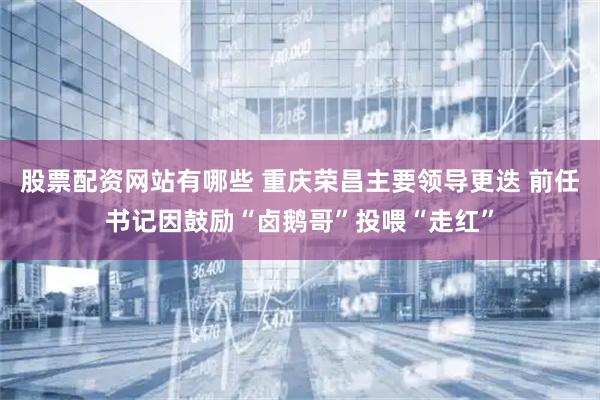 股票配资网站有哪些 重庆荣昌主要领导更迭 前任书记因鼓励“卤鹅哥”投喂“走红”