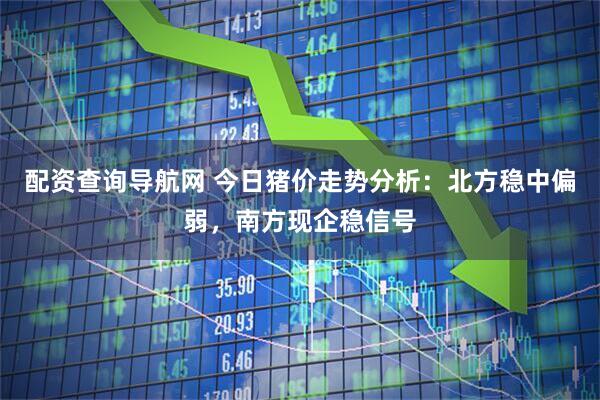 配资查询导航网 今日猪价走势分析：北方稳中偏弱，南方现企稳信号