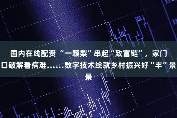 国内在线配资 “一颗梨”串起“致富链”，家门口破解看病难……数字技术绘就乡村振兴好“丰”景